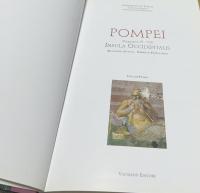  伊文)ポンペイ遺跡 第VI・VII地区のインスラ・オクシデンタリス(西のインスラ)の調査報告書  Pompei (regiones VI-VII) : Insula Occidentalis