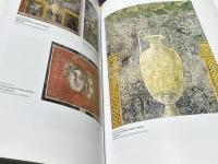  伊文)ポンペイ遺跡 第VI・VII地区のインスラ・オクシデンタリス(西のインスラ)の調査報告書  Pompei (regiones VI-VII) : Insula Occidentalis