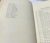 安南陶磁圖鑑　Annamese ceramics