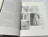 仏文)ピカソ「アヴィニョンの娘たち」展図録　Les Demoiselles d'Avignon（Musée Picasso Paris, 3）volume 2