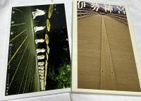 伊勢神宮 現代に生きる神話  Ise Jingu: A Modern Legend
