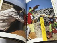 巫神との饗宴  韓の国・巫祭記 (アジア民俗写真叢書  11)