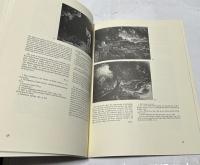 英文)ジョン・マーティン版画展図録　Darkness Visible: The Prints of John Martin