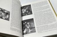 英文)17〜20世紀のヨーロッパの花の名画家たち　European flower painters