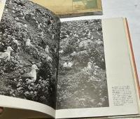 報道写真への道
