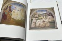 英文)ルカ・シニョレッリ全絵画集  Luca Signorelli : the complete paintings