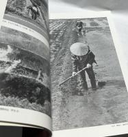 佐渡　たんぼ　写真集