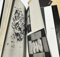 小さな生命 フォート・ドキュメント その死と生と Photographic Document : The Tiniest Life