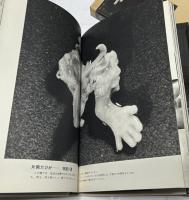 小さな生命 フォート・ドキュメント その死と生と Photographic Document : The Tiniest Life
