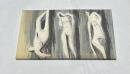 仏文)ベルクグリューン画廊の現代版画カタログ　1981   Maitres-Graveurs Contemporains 1981