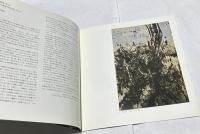 今井俊満　1950   アンフォルメルの先駆者