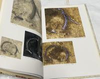 国宝　高松塚古墳壁画　壁画発見30周年記念出版 Mural-Painting in the Tumulus Takamatsu-zula