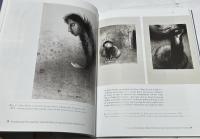 仏文)詩人ステファヌ・マラルメと芸術　Mallarmé entre les arts