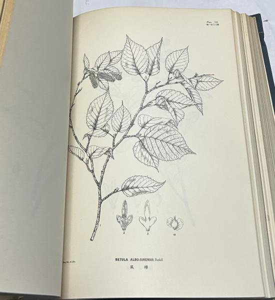 中英文)中国植物図譜 Icones plantarum Sinicarum 第1巻-第5巻