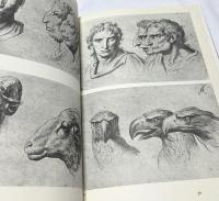 仏文)アベラシオン　形態の伝説をめぐる4つのエッセー Aberrations : essai sur la légende des formes