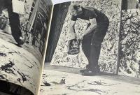 英文)ジャクソン・ポロック画集　Jackson Pollock