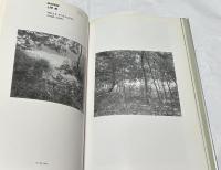 Phylo Photographs Annual パイロ・フォトグラフス・アニュアル　1990