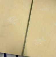 芳崖先生遺墨全集　1帙(全2冊)