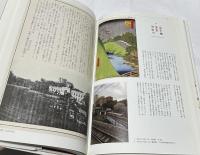 江戸百景今昔 江戸を楽しみ、大正を知り、現代を歩く