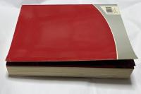 仏文)「前衛芸術の日本 1910-1970」展 本編　Japon des Avant Gardes 1910-1970