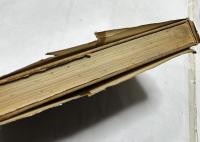 世界のトレードマークとシンボル　Trademarks and Symbols of the World