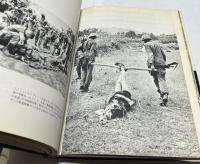 彼はベトナムで死んだ　嶋元啓三郎遺作集