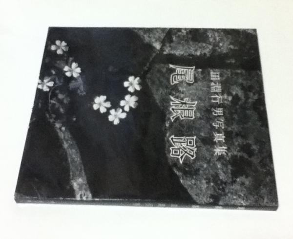 尾根路 田淵行男写真集(田淵行男) / 古本、中古本、古書籍の通販