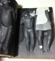 英文)アフリカ　エミール・シュルテス写真集　Africa