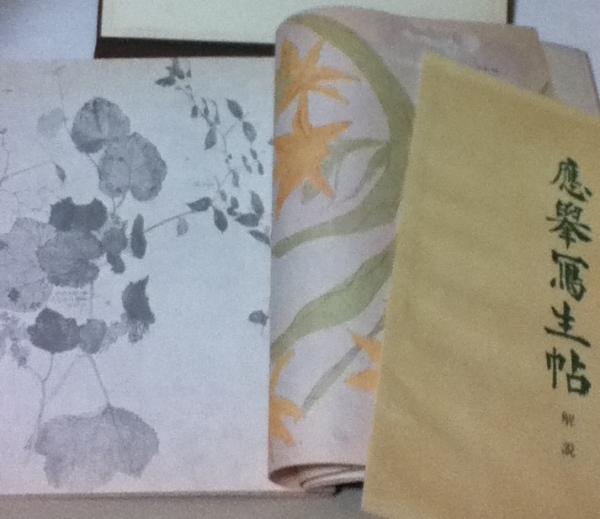 応挙写生帖 1帙(禽鳥編・昆虫編・草花編・解説)(円山応挙/日本の文様