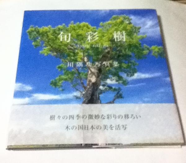 更生の書 パラリンピック東京開催記念(厚生省 監修) / 遊学文庫