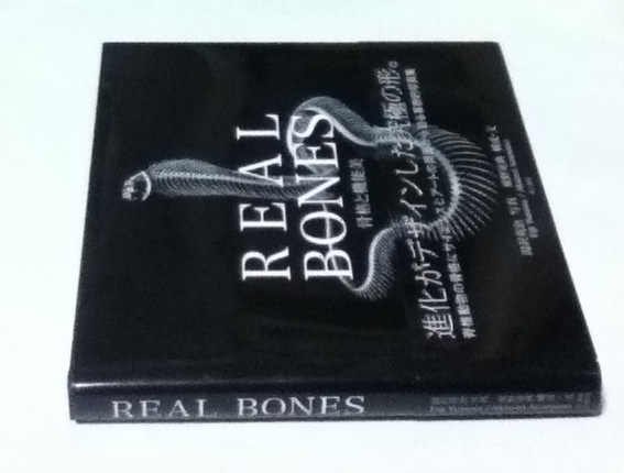 REAL BONES 骨格と機能美(湯沢英治 写真/東野晃典 構成・文) / 古本