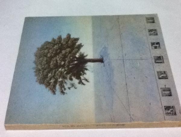Collage: Wescher, Herta; translated by Robert E. Wolf