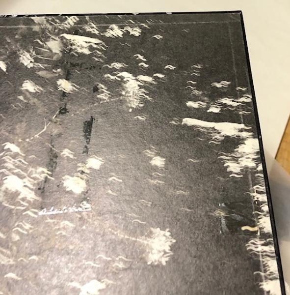 山村雅昭写真集 植物に(藤富保男 詩解説) / 古本、中古本、古 山村雅昭写真集 植物に(藤富保男 詩解説) / 古本、中古本、古