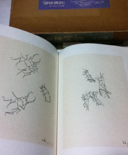 Amazon.com: 鳥獣虫魚―熊谷守一クロッキー集: 9784873580838