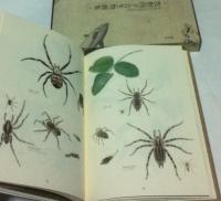 牧野四子吉生物画集