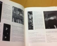 KLIMT クリムト油彩絵画レゾネ グスタフ・クリムト カタログ・レゾネ Gustav Klimt With an Catalogue