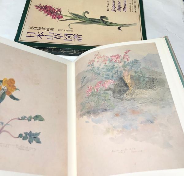 五百城文哉画 日本山草図譜(大場秀章 解説) / 古本、中古本、古書籍の