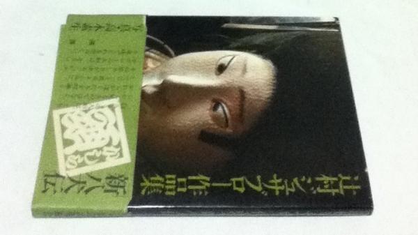 辻村ジュサブロー作品集「新八犬伝」(辻村ジュサブロー/高木素生