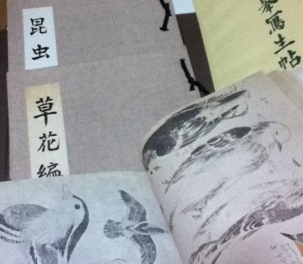 応挙写生帖 1帙(禽鳥編・昆虫編・草花編・解説)(円山応挙/日本の文様