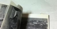 第3回 国際具象派美術展 1960
