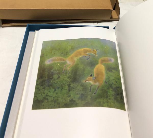 驚きの値段 山口華楊画集(谷川徹三、内山武夫解説) 古本、中古本、古書籍 / アート・デザイン・音楽