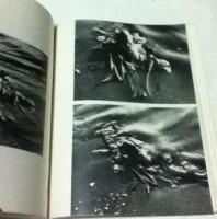 仏英独文)モダンアート美術雑誌 「クアドラム」第3号      ''QUADRUM ". Revue internationale d'Art Moderne. International magazine of Modern Art. Internazionale zeitschrift für Moderne Kunst. No. 3