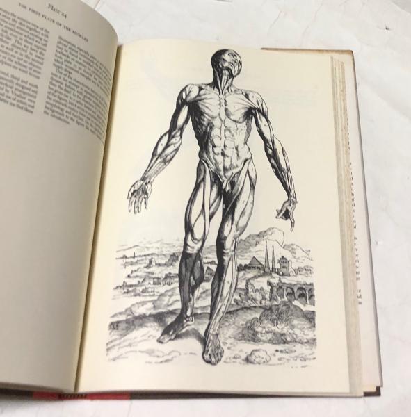 英文)アンドレアス・ヴェサリウスの解剖図 The Anatomical Drawings Of 英文)アンドレアス・ヴェサリウスの解剖図 The Anatomical Drawings Of