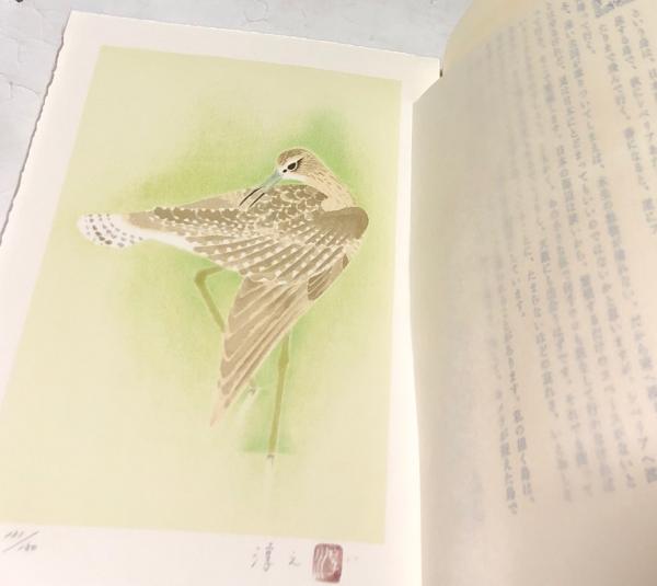 上村松篁・淳之画文集 花と鳥と(上村松篁、上村淳之) / 古本