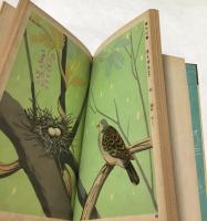 絵による自然科学叢書　鳥と巣