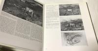 伊文)セガンティーニ カタログ・レゾネ 全2冊　Segantini : catalogo generale, 2 volumes set.