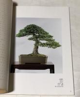 第10回記念  信州盆栽名品展