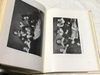 独文)絵画表現に見る人体解剖　Die anatomische Sektion in bildlicher Darstellung