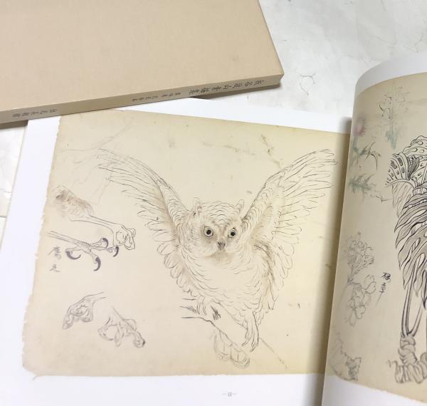 板谷波山素描集 第一巻〜第四巻