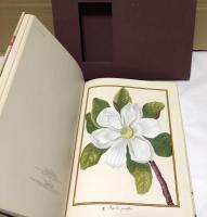 英文) フランツ2世のために描かれた植物画　Florilegium Imperiale : Botanical Illustrations for Francis I. of Austria